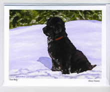 Click here for Christmas Cards