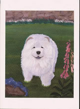 Click here for Notecards